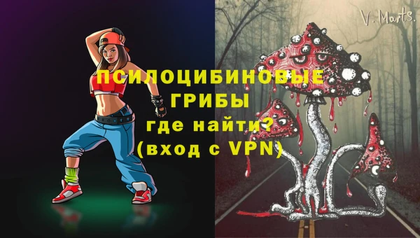 альфа пвп Снежногорск
